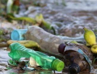 Where the Wetlands Weep: The Cry of the Swamp – A Poem for Uganda’s Wetlands